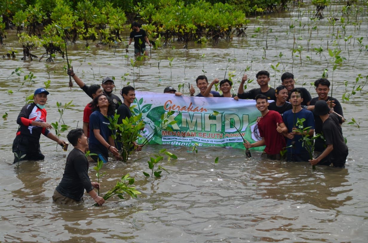 podiumnews.com-Peduli Lingkungan, PC KMHDI Makassar Tanam 2.200 Bibit Pohon Mangrove